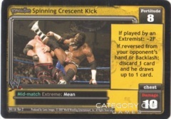 Spinning Crescent Kick